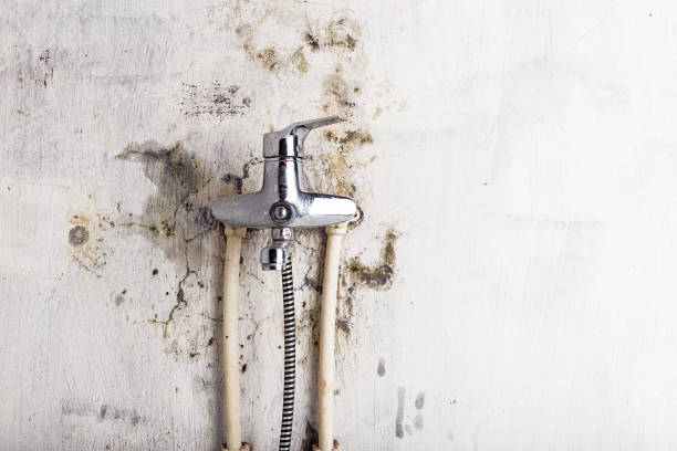 Best Mold Cleaning Services  in , OK