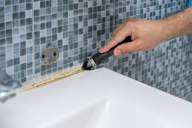Best Office Mold Removal Services  in , OK